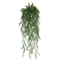 EverGreen Persian Fern Vine 90 Cm 3
