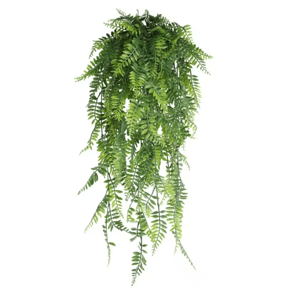 EverGreen Persian Fern Vine 90 Cm 4