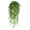 EverGreen Persian Fern Vine 90 Cm 4