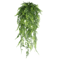 EverGreen Persian Fern Vine 90 Cm 4