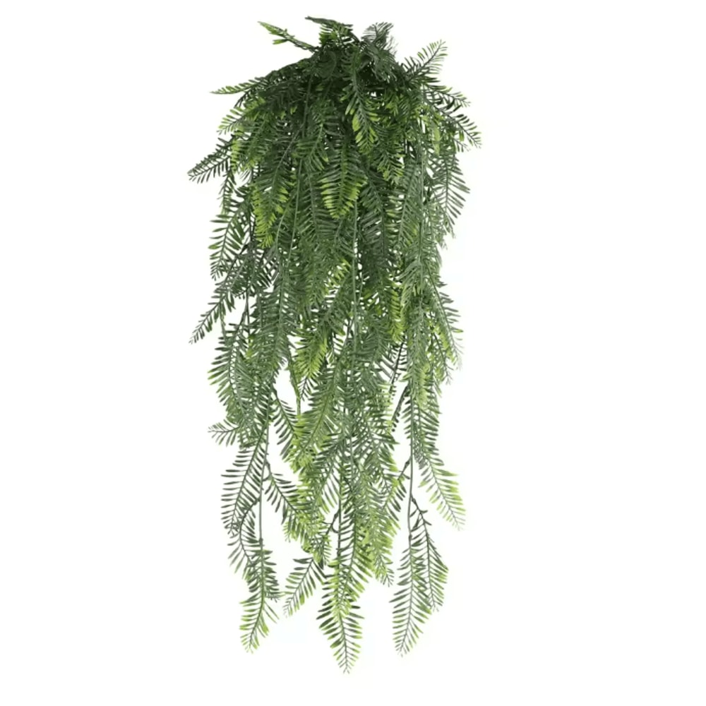 EverGreen Persian Fern Vine 90 Cm 5