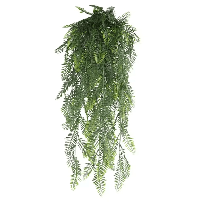 EverGreen Persian Fern Vine 90 Cm 5