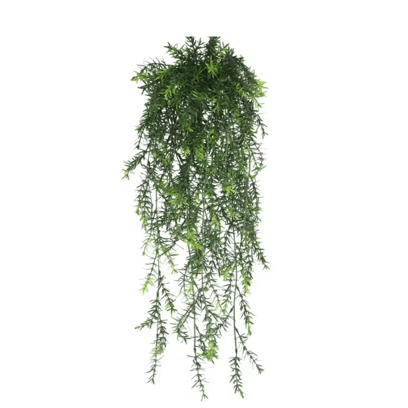 EverGreen Persian Fern Vine 90 Cm 6