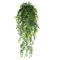 EverGreen Persian Fern Vine 90 Cm 7