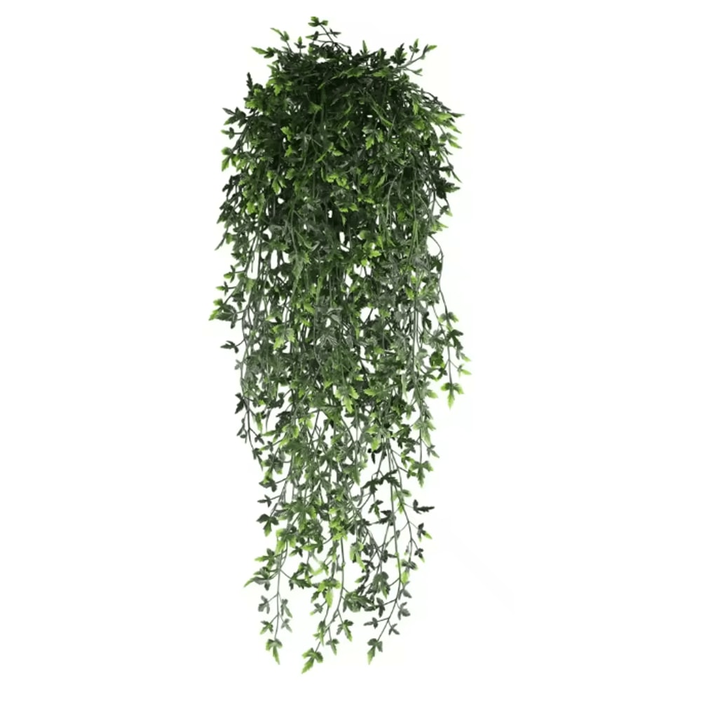 EverGreen Persian Fern Vine 90 Cm 9