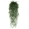 EverGreen Persian Fern Vine 90 Cm 9