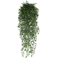 EverGreen Persian Fern Vine 90 Cm 9
