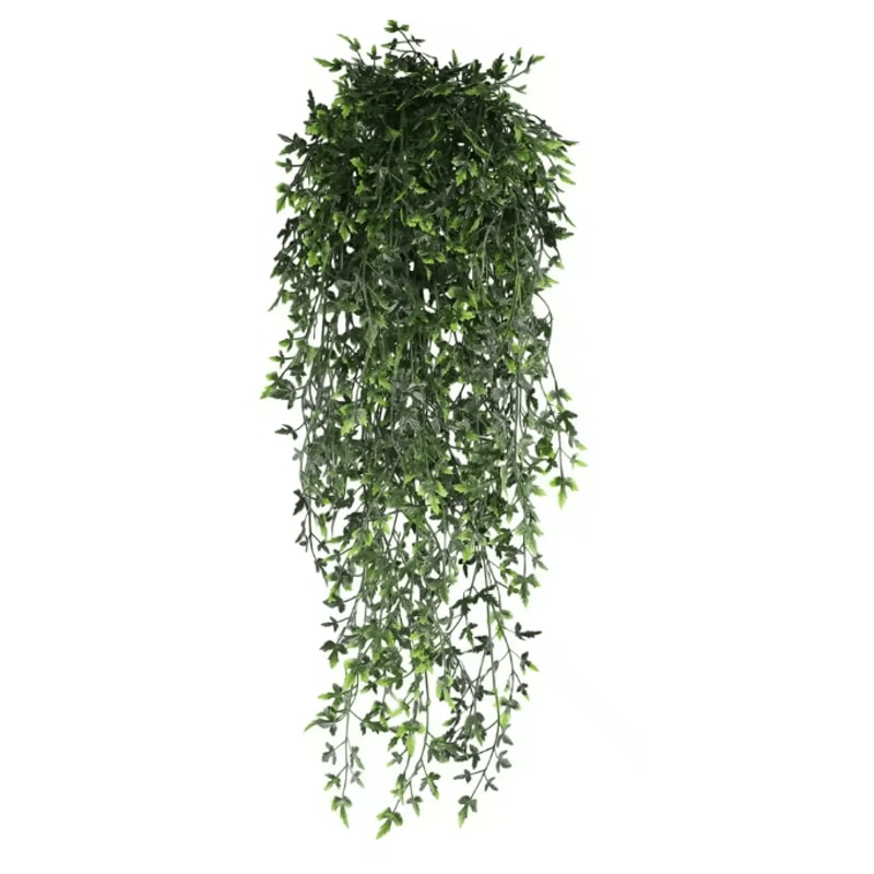 EverGreen Persian Fern Vine 90 Cm 9