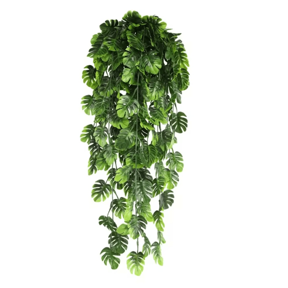 EverGreen Persian Fern Vine 90 Cm 8