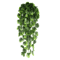EverGreen Persian Fern Vine 90 Cm 8