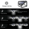Solar Motion Sensor Outdoor LED Spotlight 3
