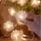 Fiber Optic LED Flower Fairy Light Garland 1