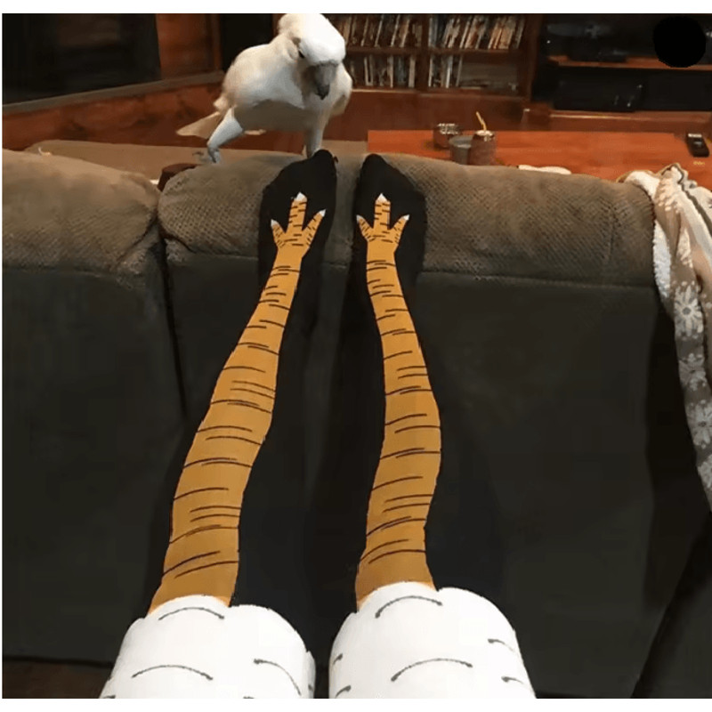 Funny Chicken Print Thigh High Socks 0