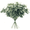 Eucalyptus Green Leaf Stems Decorative Home Bouquet Set 6