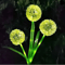 Solar Dandelion Garden Light 6
