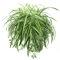 GreenFlow Hanging Potted Plant Decor 1