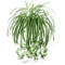 GreenFlow Hanging Potted Plant Decor 0