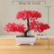 Evergreen Mini Bonsai Decor Plant 6