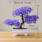 Evergreen Mini Bonsai Decor Plant 7