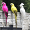 Handcrafted Feather Parrot Garden Decor 2