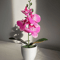 OrchidBloom Artificial Butterfly Orchid Plant 9