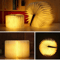 Lumibook Foldable Wooden Book Lamp 1