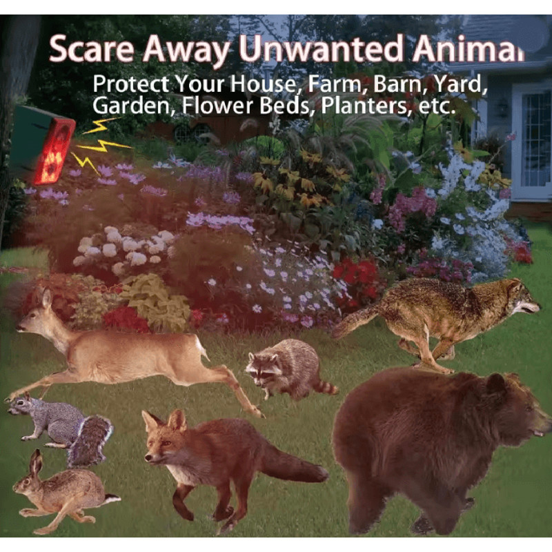 Solar Motion Alarm Security Light 2