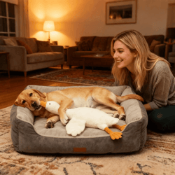 cuddleduck plush dog toy