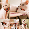 Adjustable Mesh Cat And Small Dog Harness With Leash 1