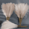 Fluffy Pampas Grass Stems For Boho Home And Event Decor 0