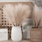 Fluffy Pampas Grass Stems For Boho Home And Event Decor 1