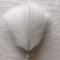 Fluffy Pampas Grass Stems For Boho Home And Event Decor 5