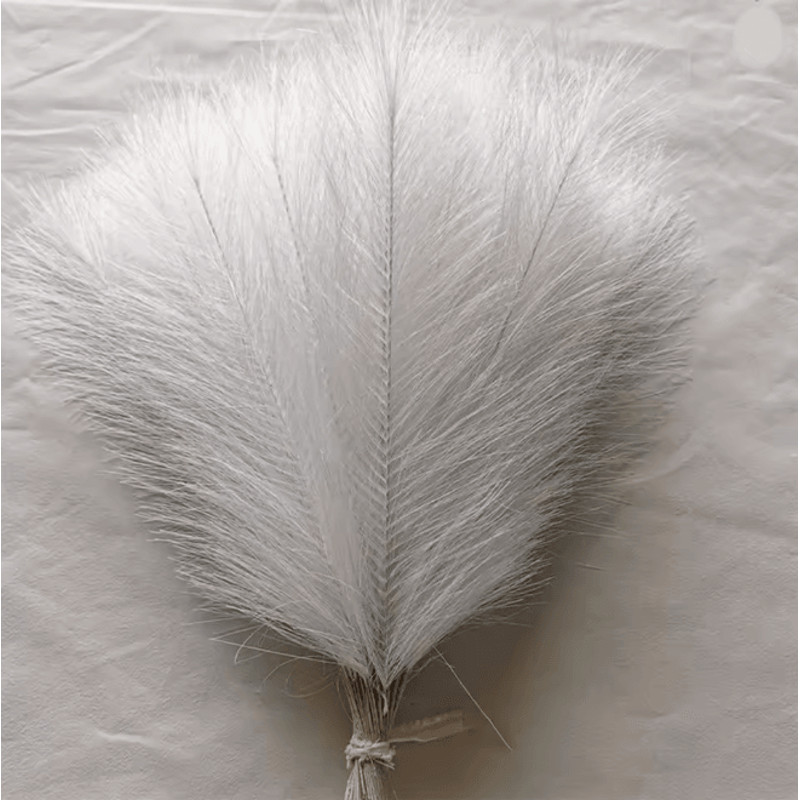 Fluffy Pampas Grass Stems For Boho Home And Event Decor 5