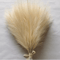 Fluffy Pampas Grass Stems For Boho Home And Event Decor 8
