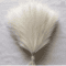 Fluffy Pampas Grass Stems For Boho Home And Event Decor 9