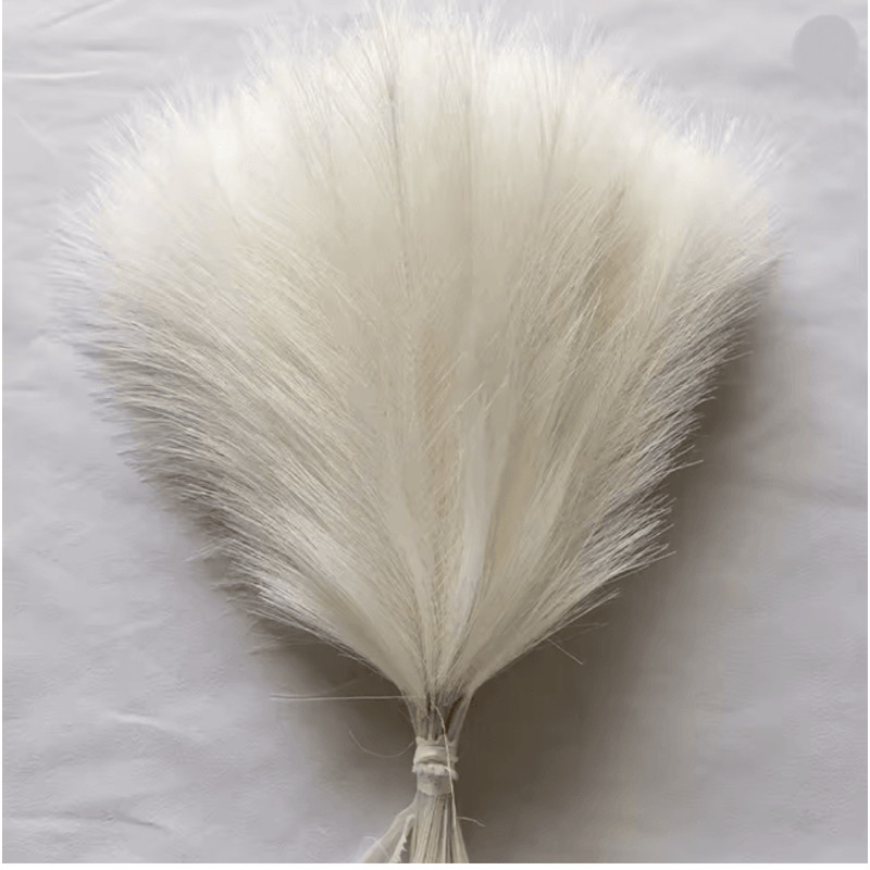 Fluffy Pampas Grass Stems For Boho Home And Event Decor 9