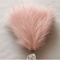 Fluffy Pampas Grass Stems For Boho Home And Event Decor 10
