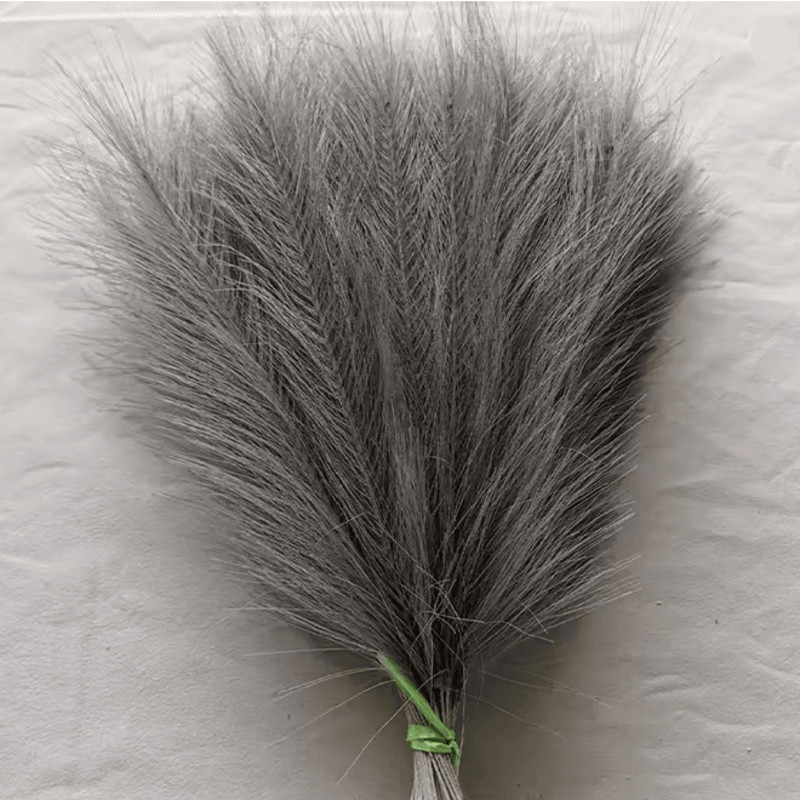 Fluffy Pampas Grass Stems For Boho Home And Event Decor 11