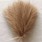 Fluffy Pampas Grass Stems For Boho Home And Event Decor 12