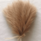 Fluffy Pampas Grass Stems For Boho Home And Event Decor 12
