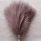 Fluffy Pampas Grass Stems For Boho Home And Event Decor 13
