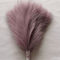 Fluffy Pampas Grass Stems For Boho Home And Event Decor 13