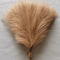 Fluffy Pampas Grass Stems For Boho Home And Event Decor 15