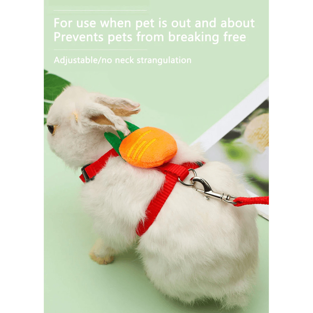 Rabbit And Small Pet Harness And Leash Set For Outdoor Walking 1