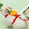 Rabbit And Small Pet Harness And Leash Set For Outdoor Walking 1
