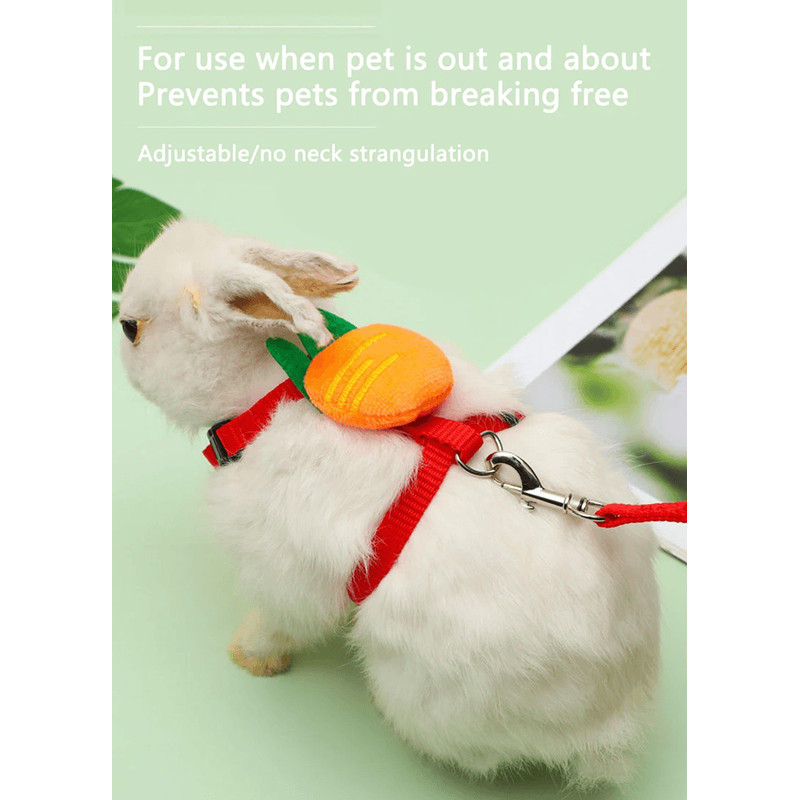 Rabbit And Small Pet Harness And Leash Set For Outdoor Walking 1