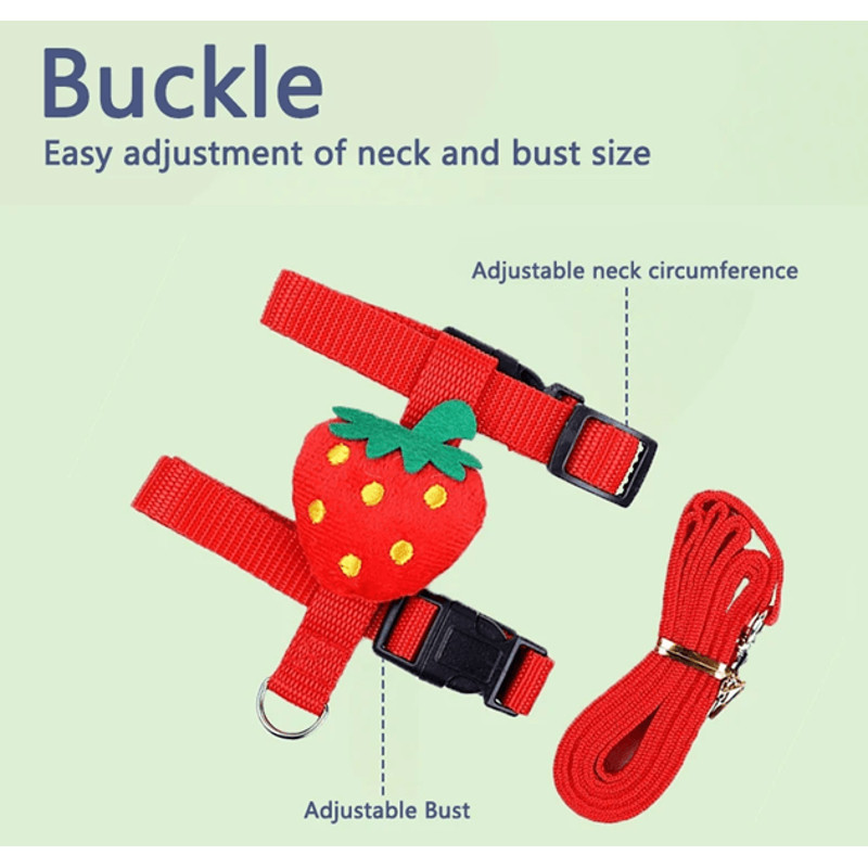 Rabbit And Small Pet Harness And Leash Set For Outdoor Walking 2
