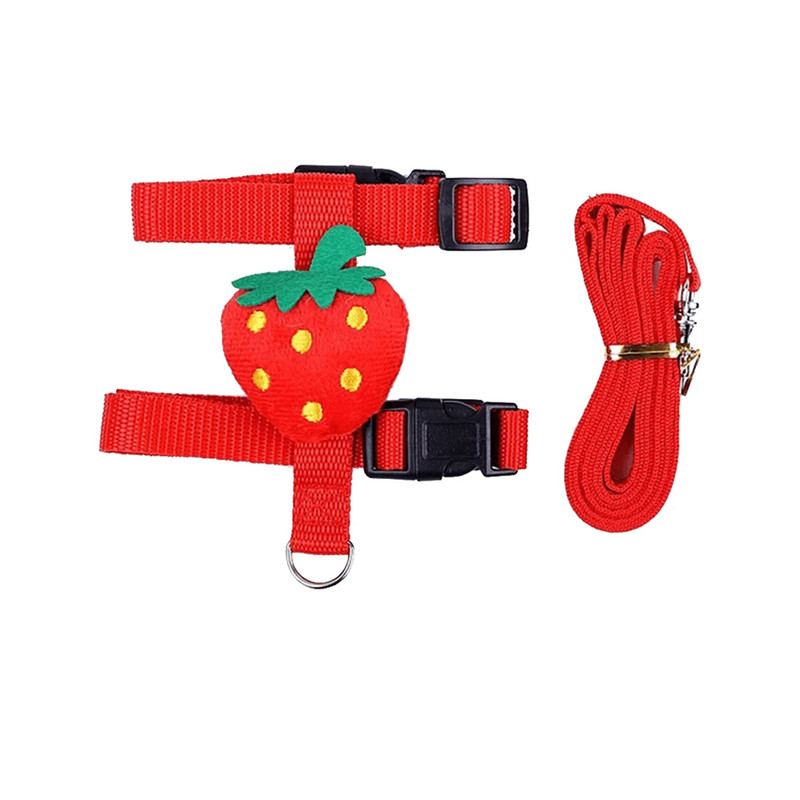 Rabbit And Small Pet Harness And Leash Set For Outdoor Walking 5