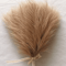 Artificial Pampas Grass Reed Bouquet 5
