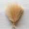 Artificial Pampas Grass Reed Bouquet 8
